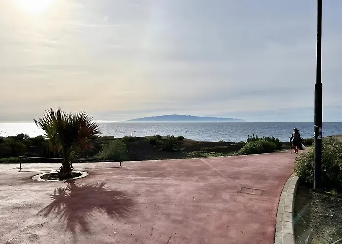 Room's La Tosquita *